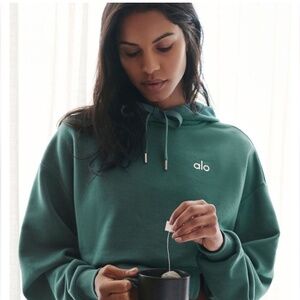 ALO Yoga Accolade Winter Ivy Hoodie